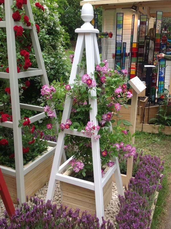Painted wooden garden obelisk with Veilchenblau Rambling Rose at RHS Chelsea Flower Show 2016