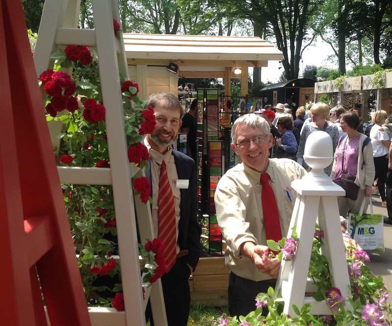 chevy chase and veilchenblau rambling roses on painted garden obelisks at RHS Chelsea Flower Show