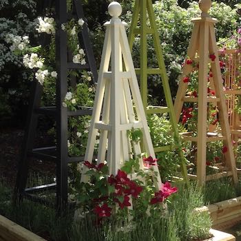 Sweet Pea Design Obelisk painted white with crimson clematis flowers on display at RHS Chelsea Flower Show 2015