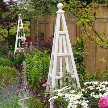 Sweet pea obelisks painted white