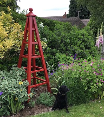 Large wooden garden obelisk painted Bronze Red from Little Greene, 240cm tall in flower bed with black dog sitting in the garden