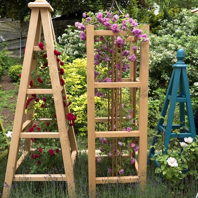 Oak Tower Obelisk with Copper and pink rose of Veilchenblau