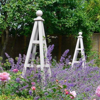Painted Wooden Garden Obelisks with Salvia and Roses