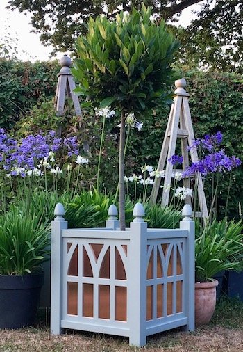 Gothic Style Planter with Copper Panels planted with Bay Tree and surrounded by blue and white Agapanthus flowers and wooden garden obelisks