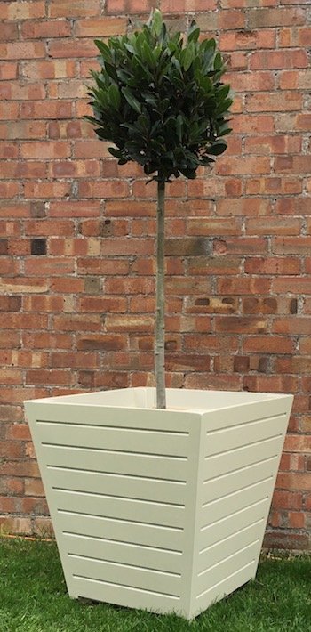 Tapered wooden planter, painted to colour match code RAL 7032 pebble grey